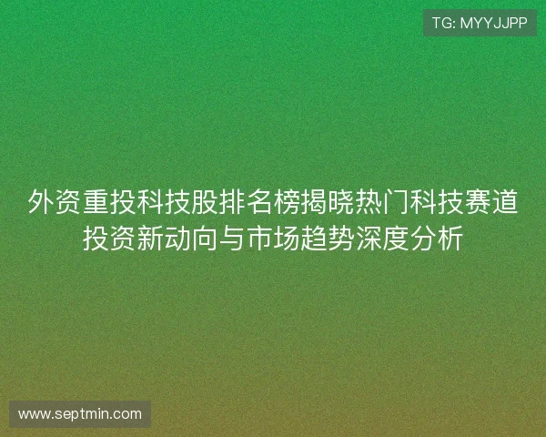 外资重投科技股排名榜揭晓热门科技赛道投资新动向与市场趋势深度分析